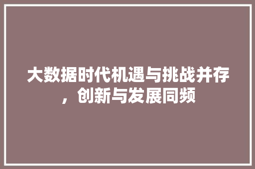 大数据时代机遇与挑战并存，创新与发展同频  第1张
