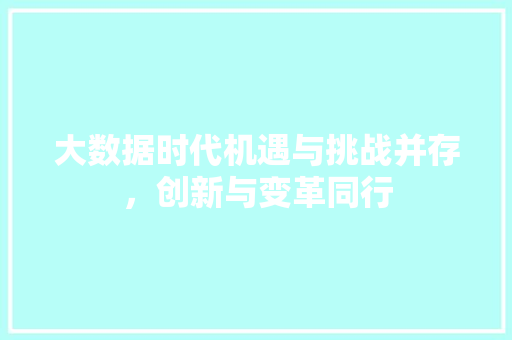 大数据时代机遇与挑战并存，创新与变革同行