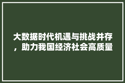 大数据时代机遇与挑战并存，助力我国经济社会高质量发展  第1张