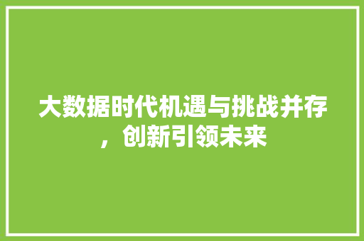 大数据时代机遇与挑战并存，创新引领未来  第1张
