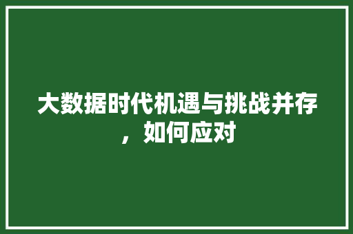 大数据时代机遇与挑战并存，如何应对  第1张