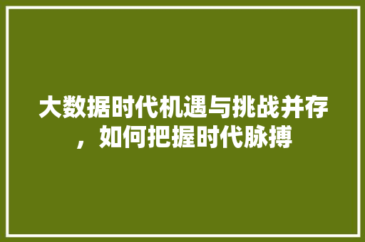 大数据时代机遇与挑战并存，如何把握时代脉搏