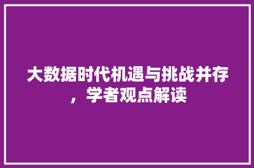 大数据时代机遇与挑战并存，学者观点解读