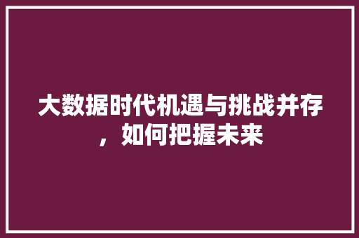 大数据时代机遇与挑战并存，如何把握未来  第1张