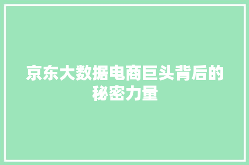 京东大数据电商巨头背后的秘密力量