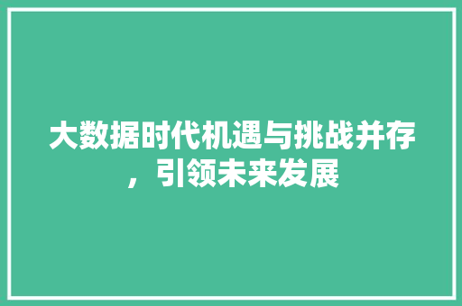 大数据时代机遇与挑战并存，引领未来发展  第1张
