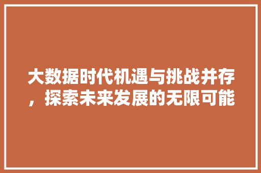 大数据时代机遇与挑战并存，探索未来发展的无限可能