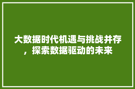 大数据时代机遇与挑战并存，探索数据驱动的未来