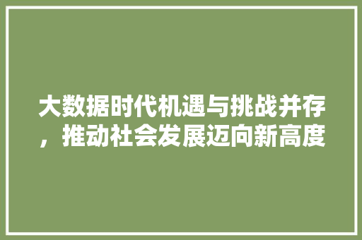 大数据时代机遇与挑战并存，推动社会发展迈向新高度