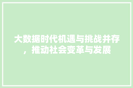 大数据时代机遇与挑战并存，推动社会变革与发展  第1张