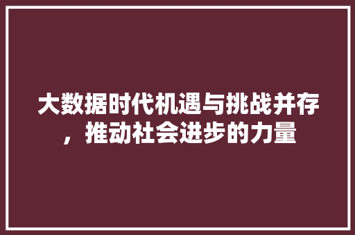 大数据时代机遇与挑战并存，推动社会进步的力量  第1张