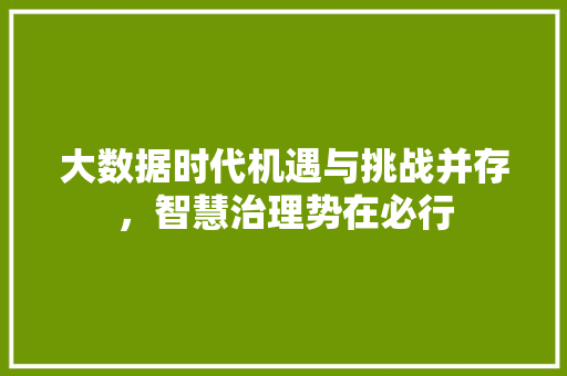 大数据时代机遇与挑战并存，智慧治理势在必行