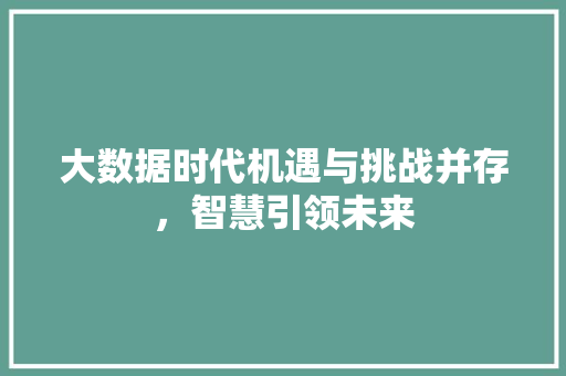 大数据时代机遇与挑战并存，智慧引领未来