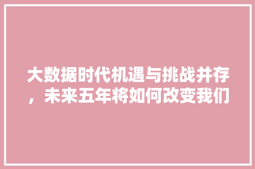 大数据时代机遇与挑战并存，未来五年将如何改变我们的生活  第1张