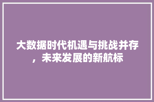 大数据时代机遇与挑战并存，未来发展的新航标  第1张