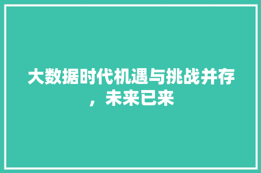 大数据时代机遇与挑战并存，未来已来  第1张