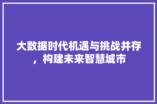 大数据时代机遇与挑战并存，构建未来智慧城市  第1张