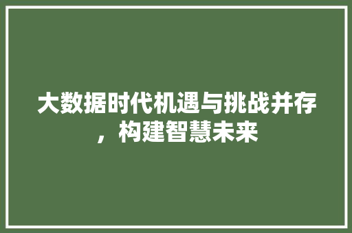 大数据时代机遇与挑战并存，构建智慧未来  第1张