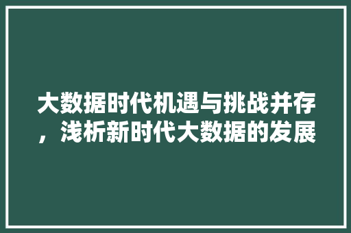 大数据时代机遇与挑战并存，浅析新时代大数据的发展与应用  第1张