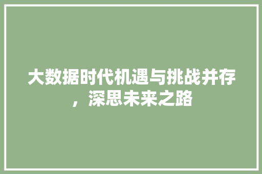 大数据时代机遇与挑战并存，深思未来之路