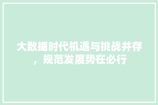 大数据时代机遇与挑战并存，规范发展势在必行  第1张