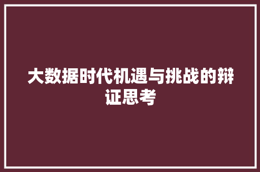 大数据时代机遇与挑战的辩证思考  第1张
