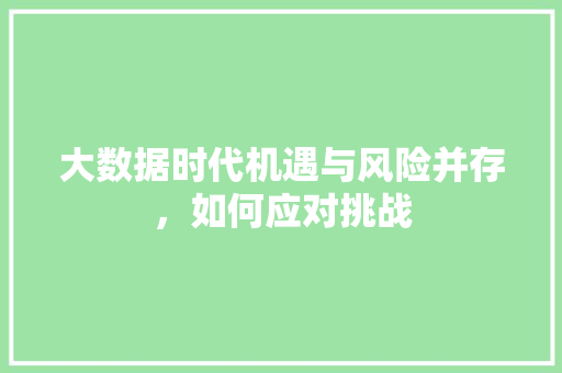 大数据时代机遇与风险并存，如何应对挑战  第1张