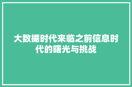 大数据时代来临之前信息时代的曙光与挑战  第1张