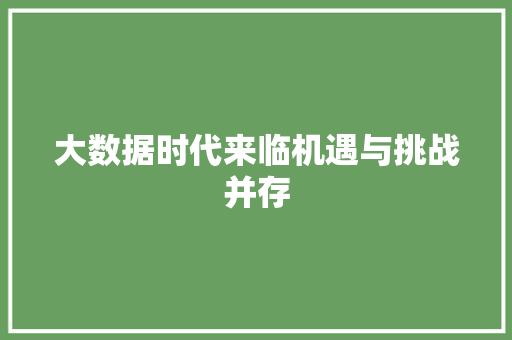 大数据时代来临机遇与挑战并存  第1张