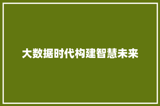 大数据时代构建智慧未来  第1张