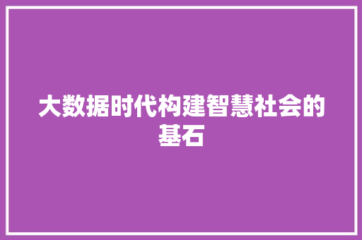大数据时代构建智慧社会的基石  第1张