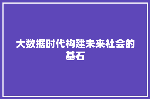 大数据时代构建未来社会的基石  第1张