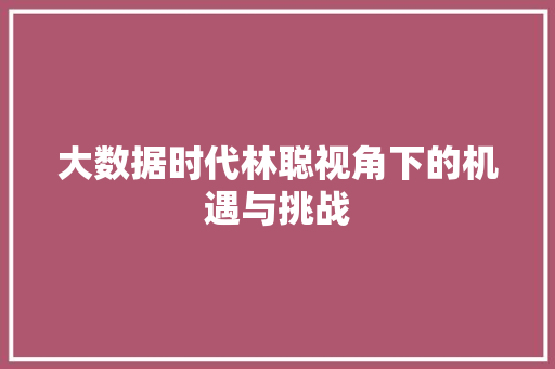 大数据时代林聪视角下的机遇与挑战