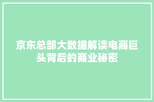 京东总部大数据解读电商巨头背后的商业秘密
