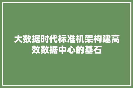 大数据时代标准机架构建高效数据中心的基石