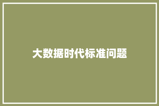 大数据时代标准问题  第1张
