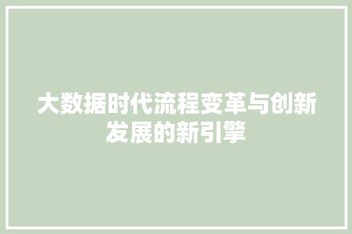大数据时代流程变革与创新发展的新引擎