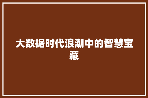 大数据时代浪潮中的智慧宝藏