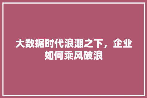 大数据时代浪潮之下，企业如何乘风破浪  第1张