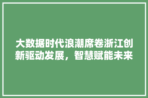 大数据时代浪潮席卷浙江创新驱动发展，智慧赋能未来
