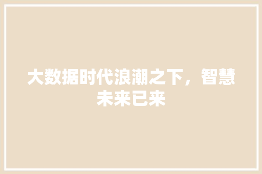 大数据时代浪潮之下，智慧未来已来  第1张