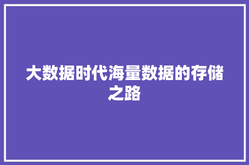 大数据时代海量数据的存储之路