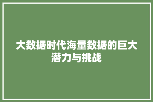 大数据时代海量数据的巨大潜力与挑战  第1张