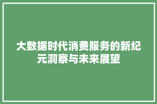 大数据时代消费服务的新纪元洞察与未来展望  第1张
