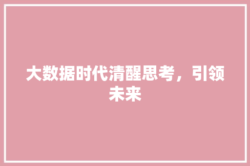 大数据时代清醒思考，引领未来
