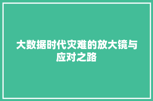 大数据时代灾难的放大镜与应对之路