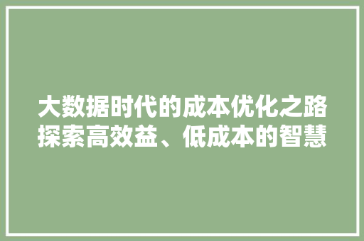 大数据时代的成本优化之路探索高效益、低成本的智慧解决方法  第1张