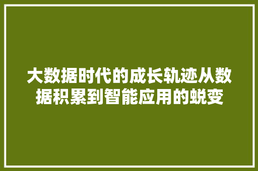 大数据时代的成长轨迹从数据积累到智能应用的蜕变  第1张