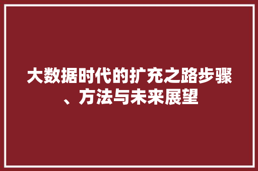 大数据时代的扩充之路步骤、方法与未来展望