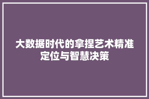 大数据时代的拿捏艺术精准定位与智慧决策  第1张